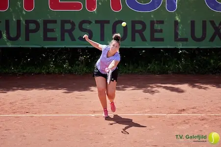 Albert Heijn Hardegarijp Galefjild Open - Foto 10